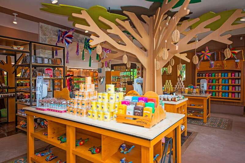 cozumel-chocolate-workshop-at-the-mayan-cacao-company