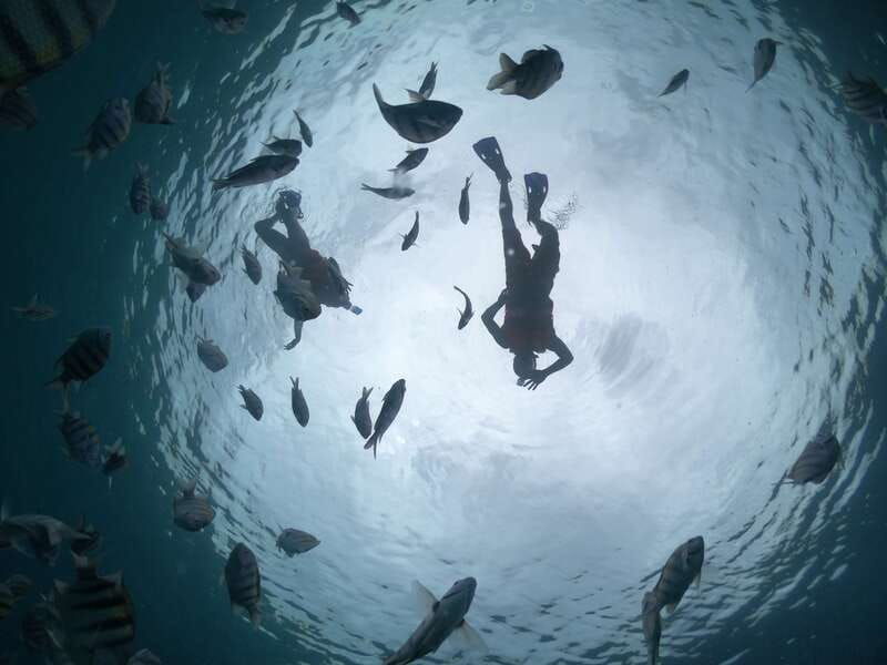 cozumel-clear-boat-ride-and-snorkeling-trip