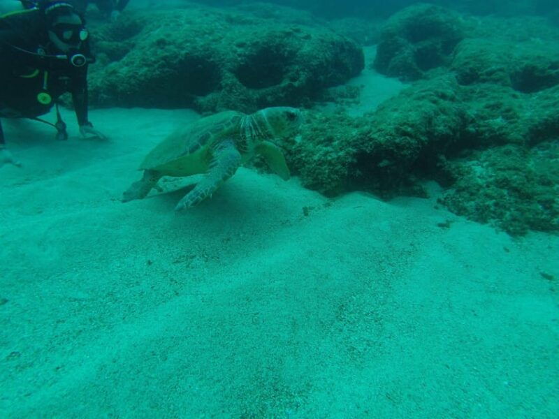 crete-chania-guided-diving-experience-for-certified-divers