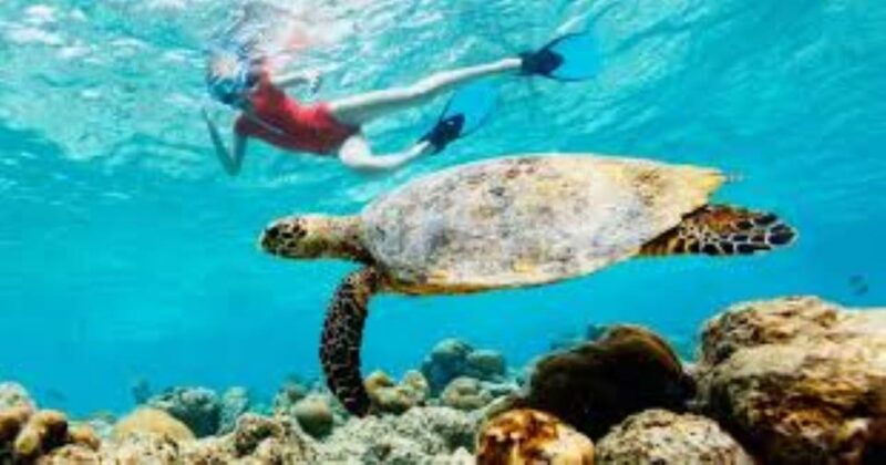 crete-coastline-snorkeling-cruise-from-hersonissos-port
