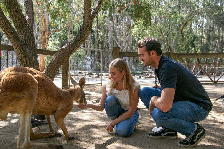 currumbin-wildlife-sanctuary-entry-ticket