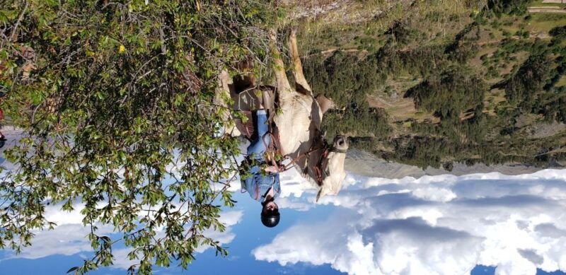 cusco-sacsayhuaman-guided-tour-and-1-hour-horseback-ride