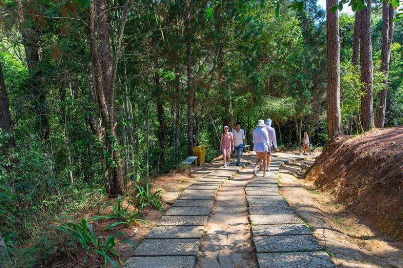 da-lat-full-day-adventurous-day-in-da-lats-nature