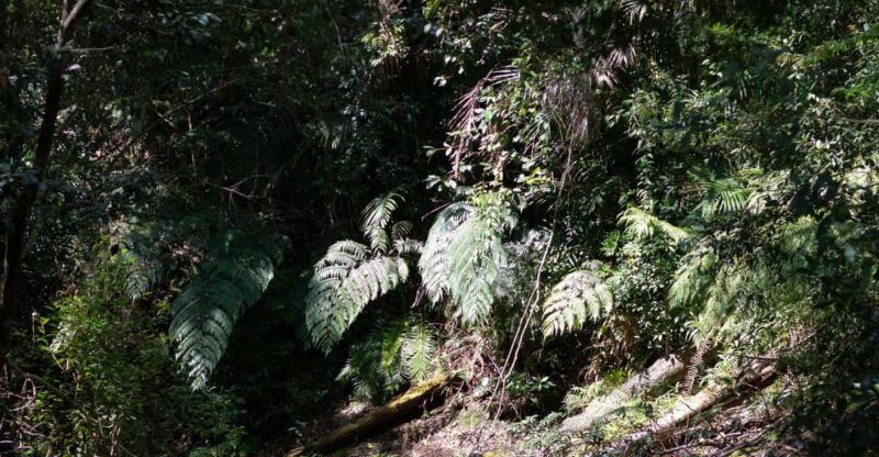 dalat-silent-tour-hiking-swiming-waterfall