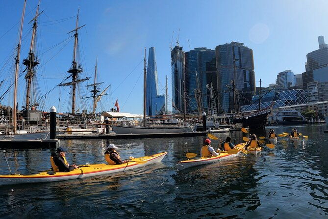 Darling Harbour Explorer - Sea Kayaking Tour - Practical Details and Considerations
