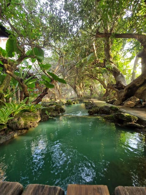 day-tour-in-chiang-mai-i-waterfall-i-dantewada-i-doi-suthep