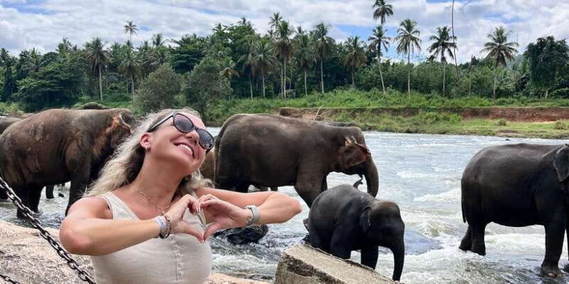 day-tour-to-elephant-orphanage-spice-garden