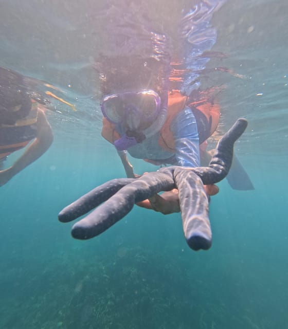 day-trip-5-secret-giilis-in-west-south-of-lombok
