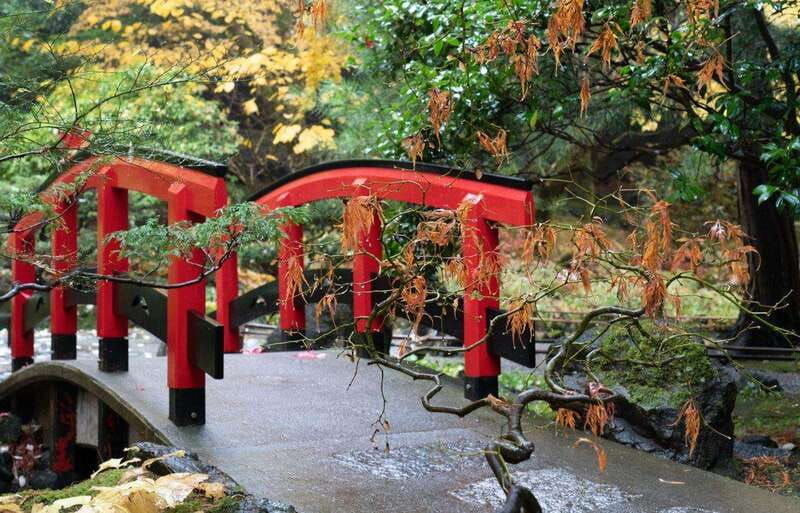 day-trip-from-vancouver-to-victoria-and-butchart-gardens