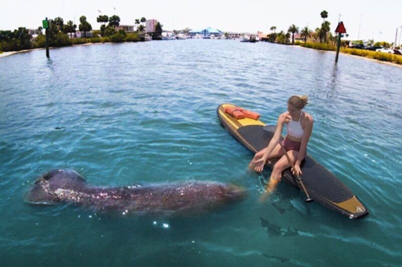 daytona-beach-guided-kayaking-or-standup-paddling-tour