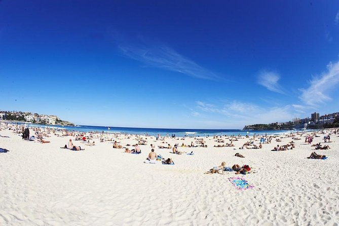 Discover Bondi Guided Beach And Coastal Walking Tour - Summary of the Experience