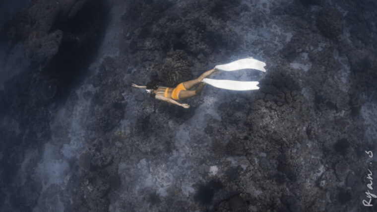 discover-freediving-in-boracay