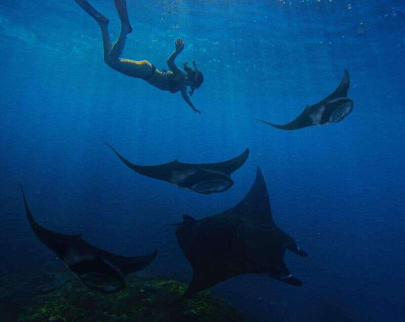 discover-nusa-penida-with-the-best-one-day-tour-packages