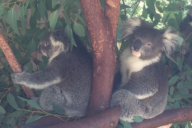 Discover Perth Full Day Tour - Who Will Love This Tour?