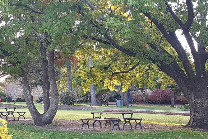 Discover Toowoomba Tours - Who Should Join This Tour?