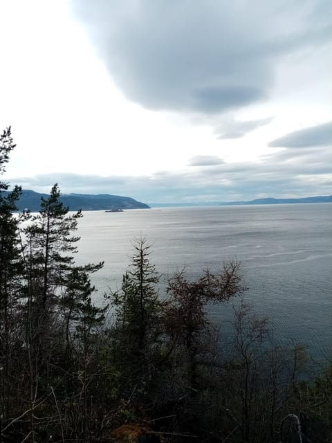 discovery-hike-along-the-trondheimsfjord