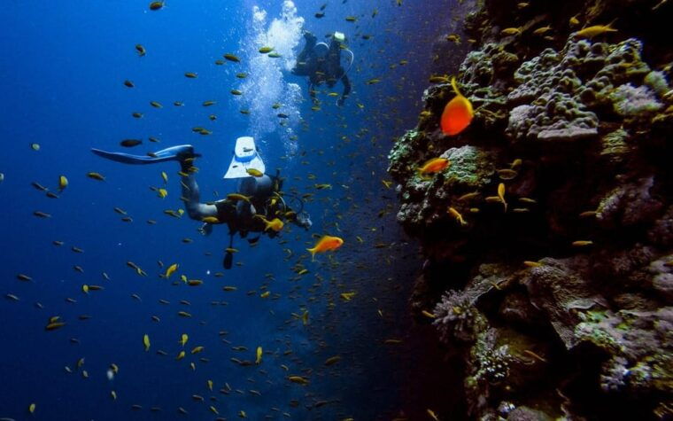 diving-tour-from-alanya-side-with-lunch-2-dives-included