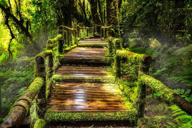 Doi Inthanon National Park - Thailand's Highest Peak - The Sum Up