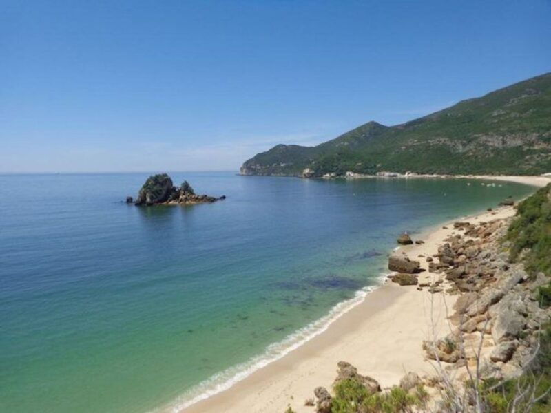 dolphin-watching-sesimbra-arrabida-natural-park