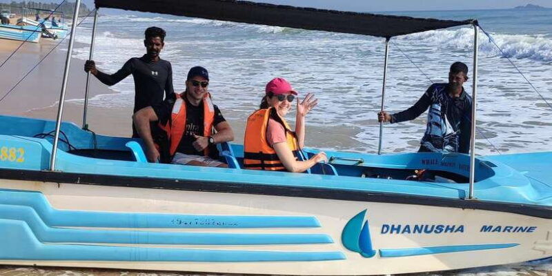 dolphin-whale-watching-east-coast