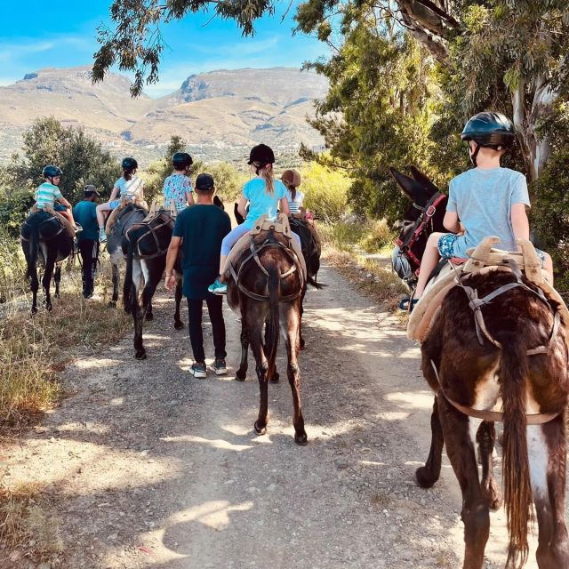 donkey-ride-cretan-country