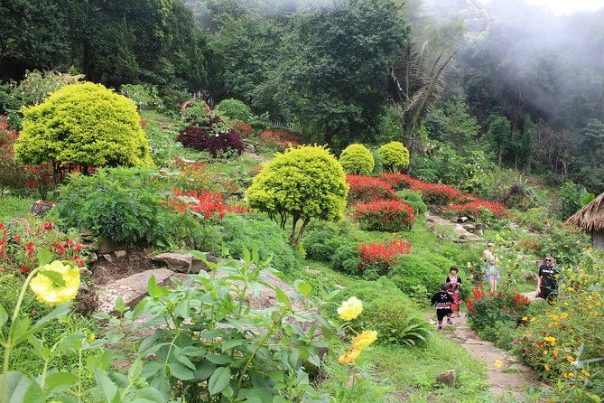 DON'T miss It ! Doi suthep temple+ Hmong village - Who Is This Tour Best For?