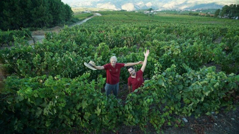 douro-classic-wine-tasting-with-guided-tour