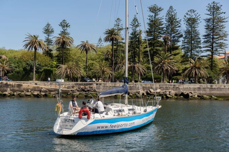 douro-river-cruise-with-cheese-tonic-porto-in-a-sailboat