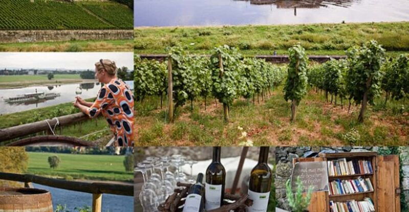 dresden-bike-tour-with-wine-tasting