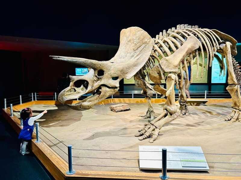 drumheller-full-day-private-sightseeing-tour