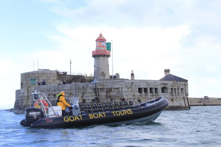dublin-history-and-wildlife-boat-tour-with-live-commentary