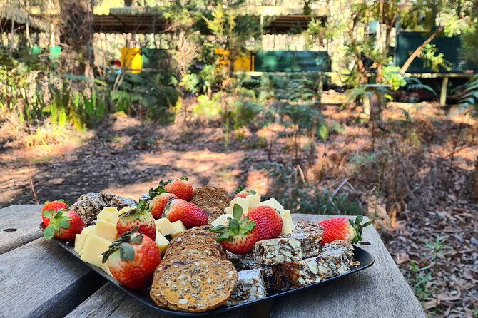 Dwellingup Trains, Trails & Woodfired Delights Full Day Tour - Practical Details & Why They Matter