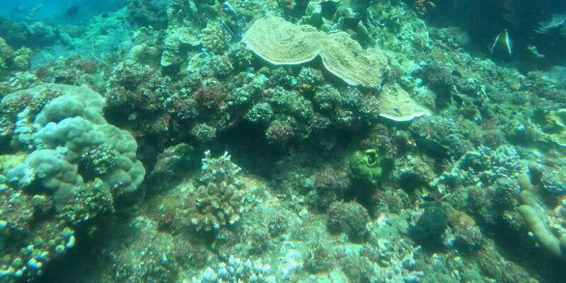 east-bali-snorkeling-day-trip-to-amed