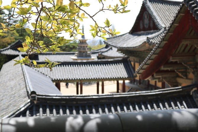 Echoes of Silla Gyeongju Historical Guided Day Tour from Busan - The Sum Up: Who Will Love This Tour?