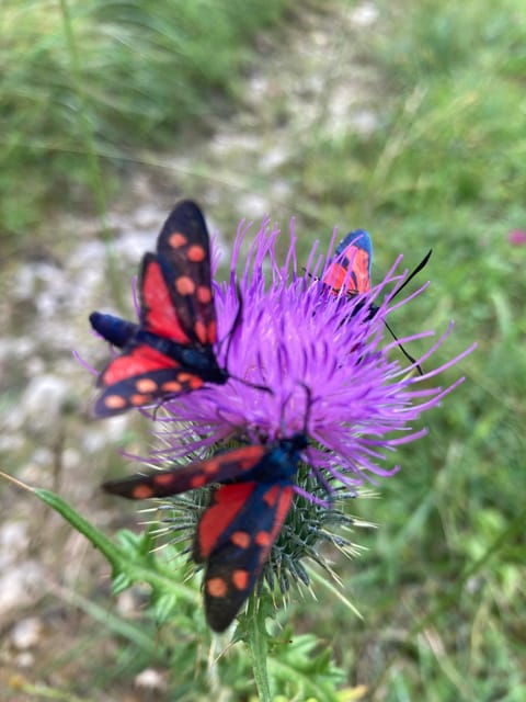 ehrwald-hiking-tour-into-breath-taking-nature