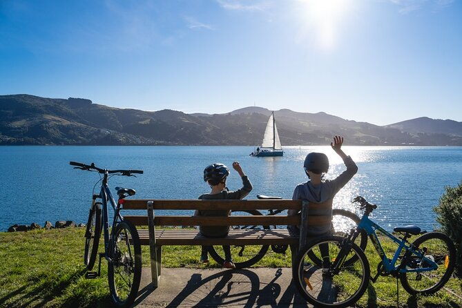 Electric Bike Rental - Pricing and Value
