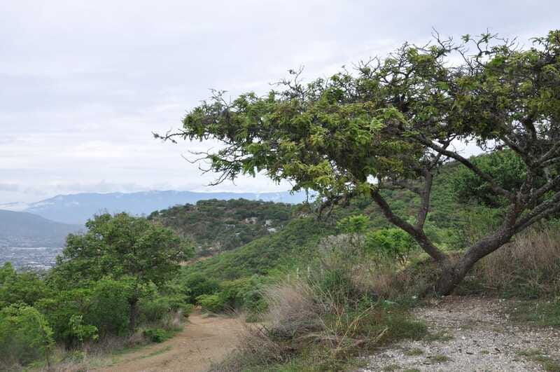 electric-mountain-bike-in-oaxaca