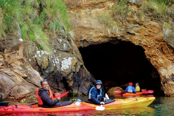 Electric Mountain Bike & Sea Kayak Tour in Akaroa - Final Thoughts