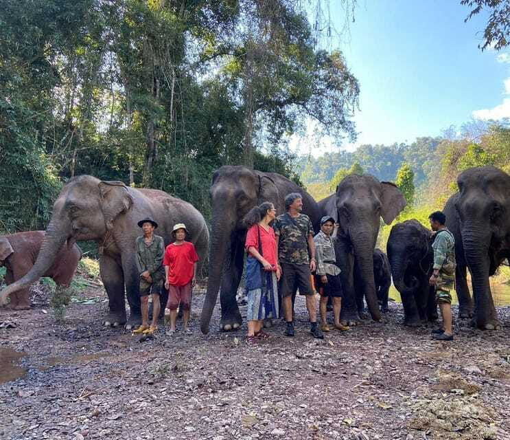 elephant-home-sanctuary-in-muang-thong-sayaboury-laos
