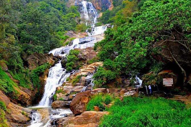 Ella Day Trip with Train Ride & Tea Factory - All Inclusive - In Summary: Who Should Consider This Tour?
