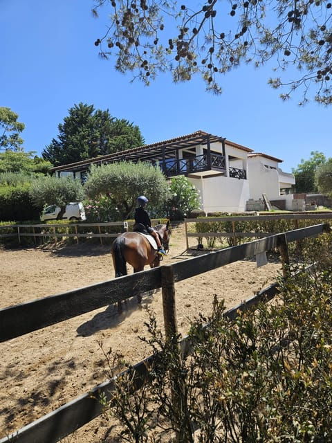 equestrian-tourism-experience