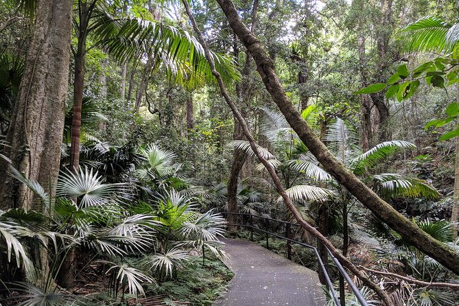 Erupting Blowholes and Ancient Rainforests SOUTH COAST OF SYDNEY PRIVATE TOUR - Final Thoughts