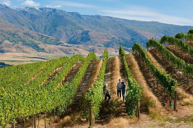 Exclusive Central Otago Wine Tour - Departs Queenstown - Scenic Views and Iconic Moments