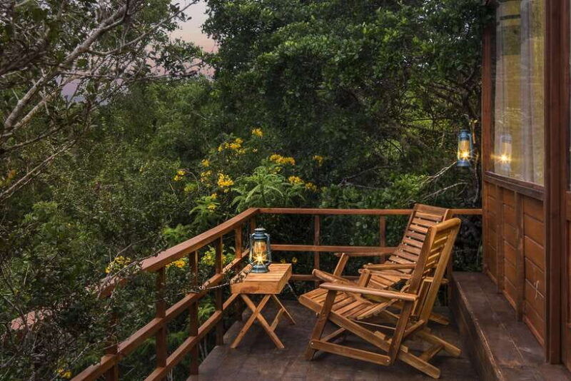 exclusive-evening-yala-safari-and-nature-trail