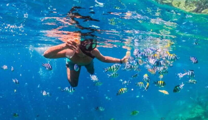 exclusive-gili-nanggu-sudak-and-kedis-tour-featuring-gopro