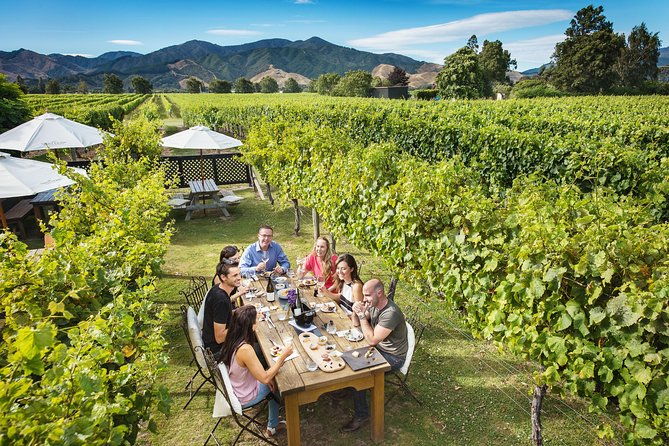 Exclusive Picton Wine & Scenic Adventure: VIP Cruise Experience - Reviews and Authentic Insights