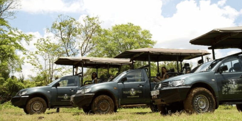 exclusive-wildlife-full-day-adventure-in-wilpattu