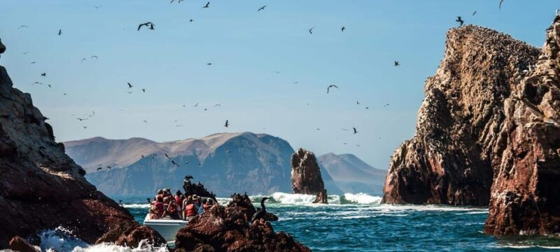 excursion-ballestas-islands-and-paracas-national-reserve-3