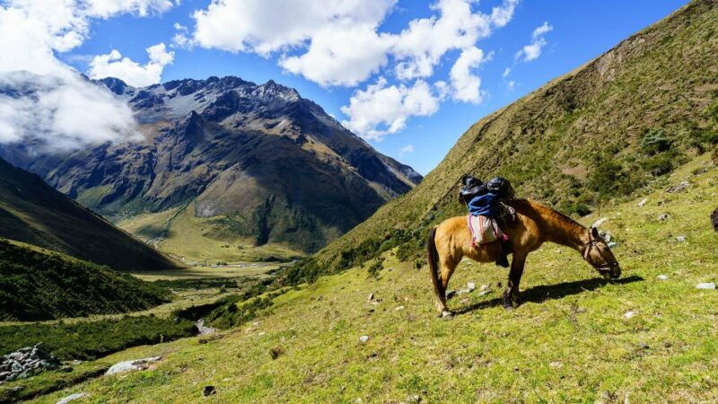 excursion-to-cusco-machu-picchu-in-7-days-6-nights-2