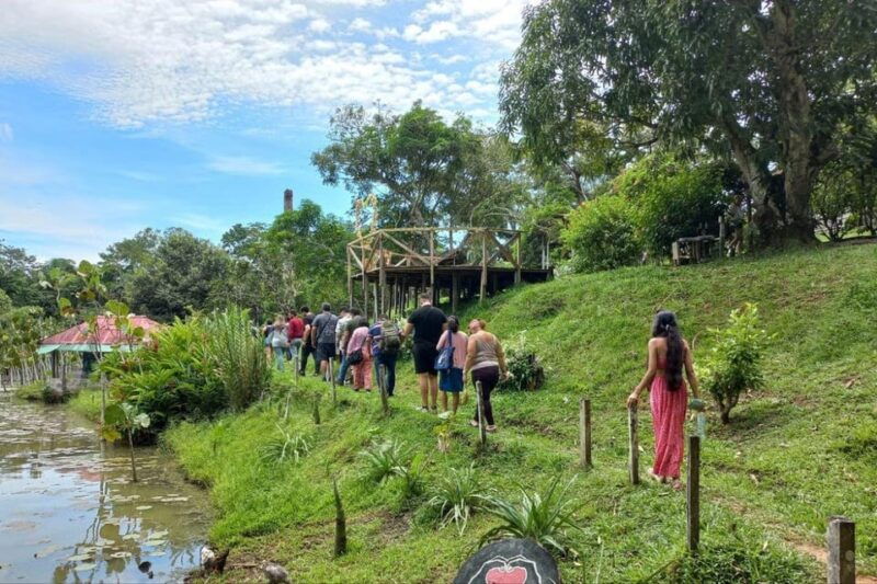 excursion-to-monkey-island